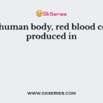 In the human body, red blood cells are produced in