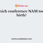 In which conference NAM took its birth?
