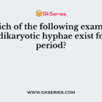 In which of the following example of fungi dikaryotic hyphae exist for long period?