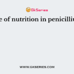 Mode of nutrition in penicillium is