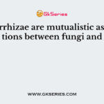 Mycorrhizae are mutualistic associations between fungi and