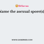 Name the asexual spore(s)?