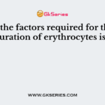 One of the factors required for the maturation of erythrocytes is