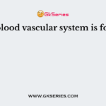 Open blood vascular system is found in