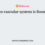 Open vascular system is found in