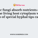 Parasitic fungi absorb nutrients directly from the living host cytoplasm with the help of special hyphal tips called