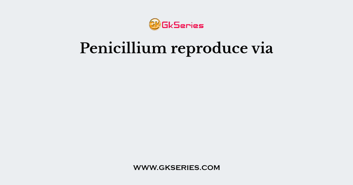 Penicillium reproduce via