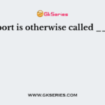 RJ45 port is otherwise called ______