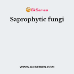 Saprophytic fungi