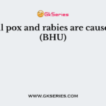 Small pox and rabies are caused by (BHU)