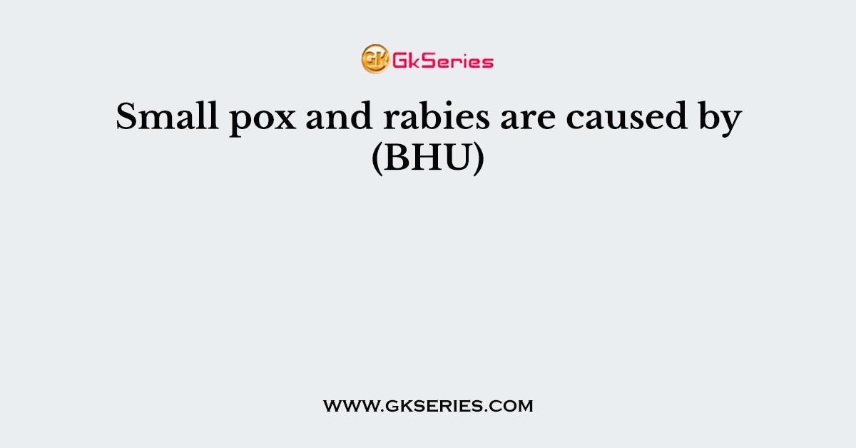 Small pox and rabies are caused by (BHU)