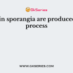 Spores in sporangia are produced by the process