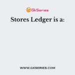 Stores Ledger is a: