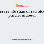 The average life span of red blood corpuscles is about