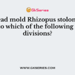 The bread mold Rhizopus stolonifer belongs to which of the following fungal divisions?