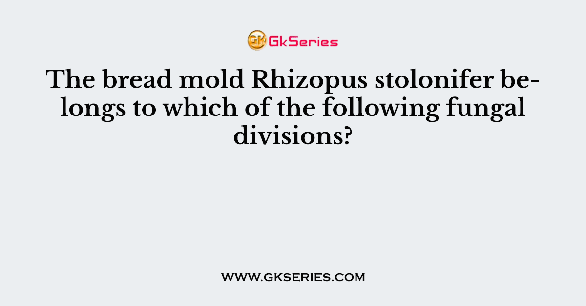 The bread mold Rhizopus stolonifer belongs to which of the following fungal divisions?