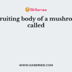 The fruiting body of a mushroom is called