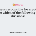 The fungus responsible for ergotism belongs to which of the following fungal divisions?