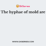 The hyphae of mold are