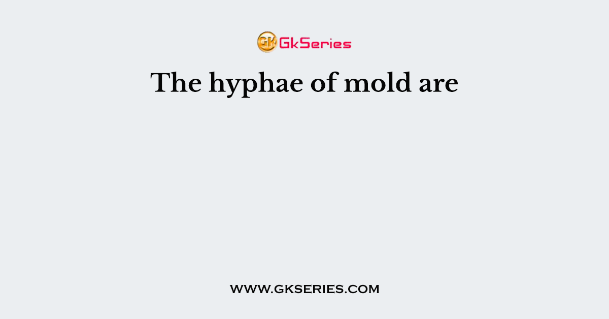 The hyphae of mold are
