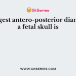 The largest antero-posterior diameter in a fetal skull is
