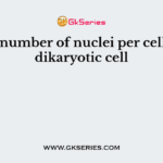 The number of nuclei per cell in a dikaryotic cell