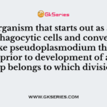 The organism that starts out as amoeboid, phagocytic cells and converts to a sluglike pseudoplasmodium