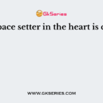 The pace setter in the heart is called