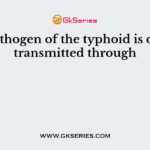 The pathogen of the typhoid is directly transmitted through