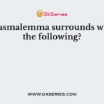The plasmalemma surrounds which of the following?
