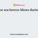 The sea breeze blows during: