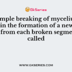 The simple breaking of mycelium resulting in the formation of a new mycelium from each broken segments is called