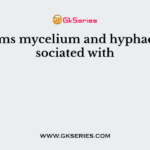 The terms mycelium and hyphae are associated with