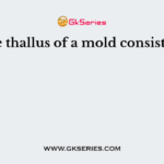 Q. The thallus of a mold consists of