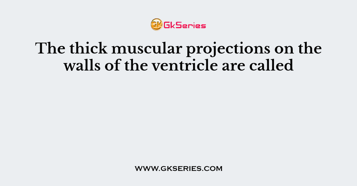 The thick muscular projections on the walls of the ventricle are called