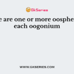 There are one or more oospheres in each oogonium