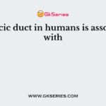 Thoracic duct in humans is associated with