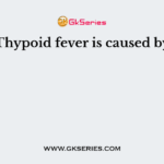 Thypoid fever is caused by