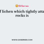 Type of lichen which tightly attaches to rocks is