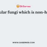 Unicellular fungi which is non-hyphal is