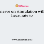 Vagus nerve on stimulation will cause heart rate to