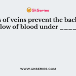 Valves of veins prevent the backward flow of blood under ____.