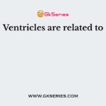 Ventricles are related to