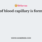 Wall of blood capillary is formed of