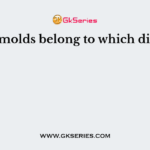 Water molds belong to which division?
