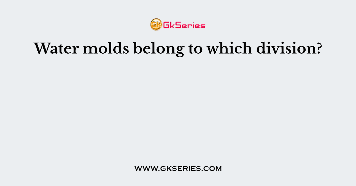 Water molds belong to which division?