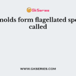 Water molds form flagellated spores are called