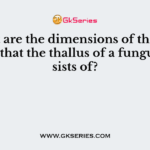 What are the dimensions of the filaments that the thallus of a fungus consists of?