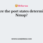 What are the port states determined by Nmap?