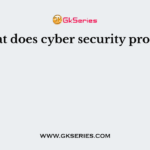 What does cyber security protect?